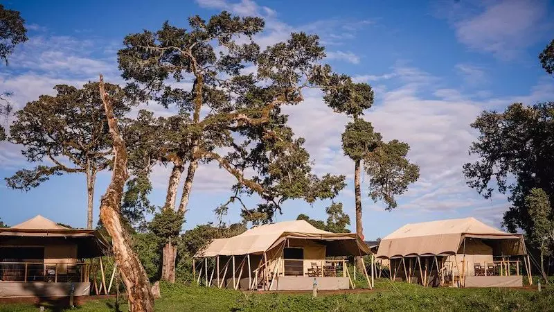 Angata Ngorongoro 800
