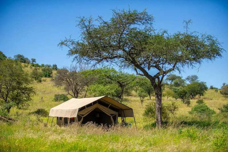 Twc Serengeti Kati 800