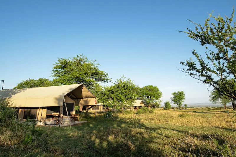 Twc Serengeti Kati 800