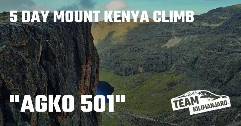 AGKO 501