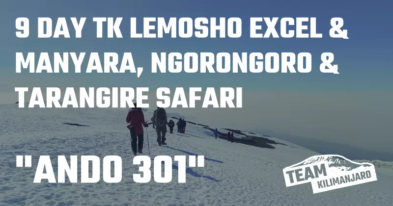 ANDO 301 Climb and Safari