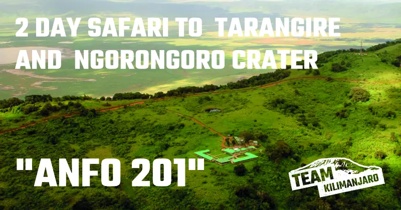 ANFO 201