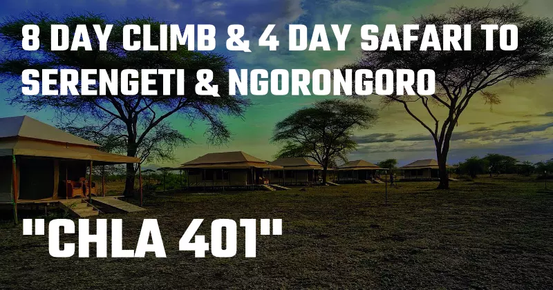 CHLA 401