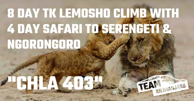 CHLA 403