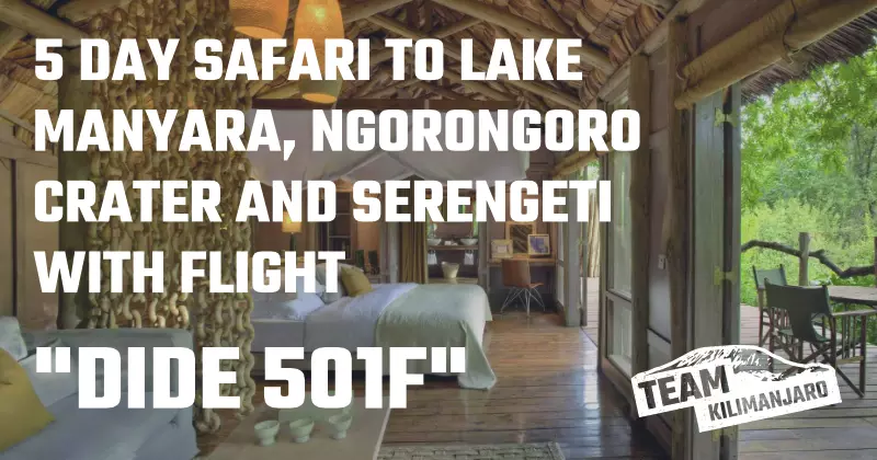 DIDE 501F