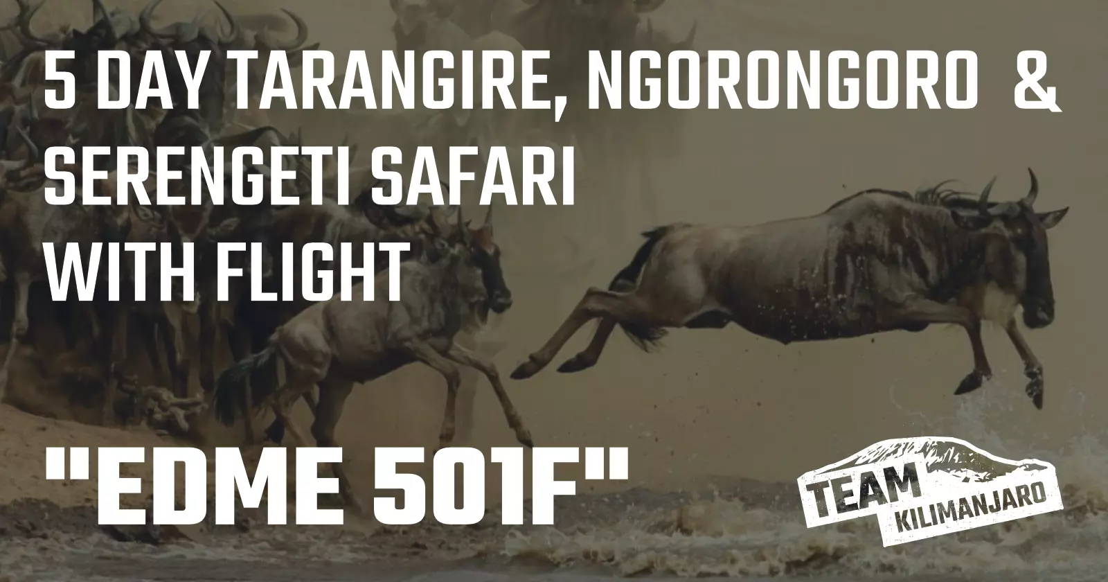 Tanzania Safari EDME 501F