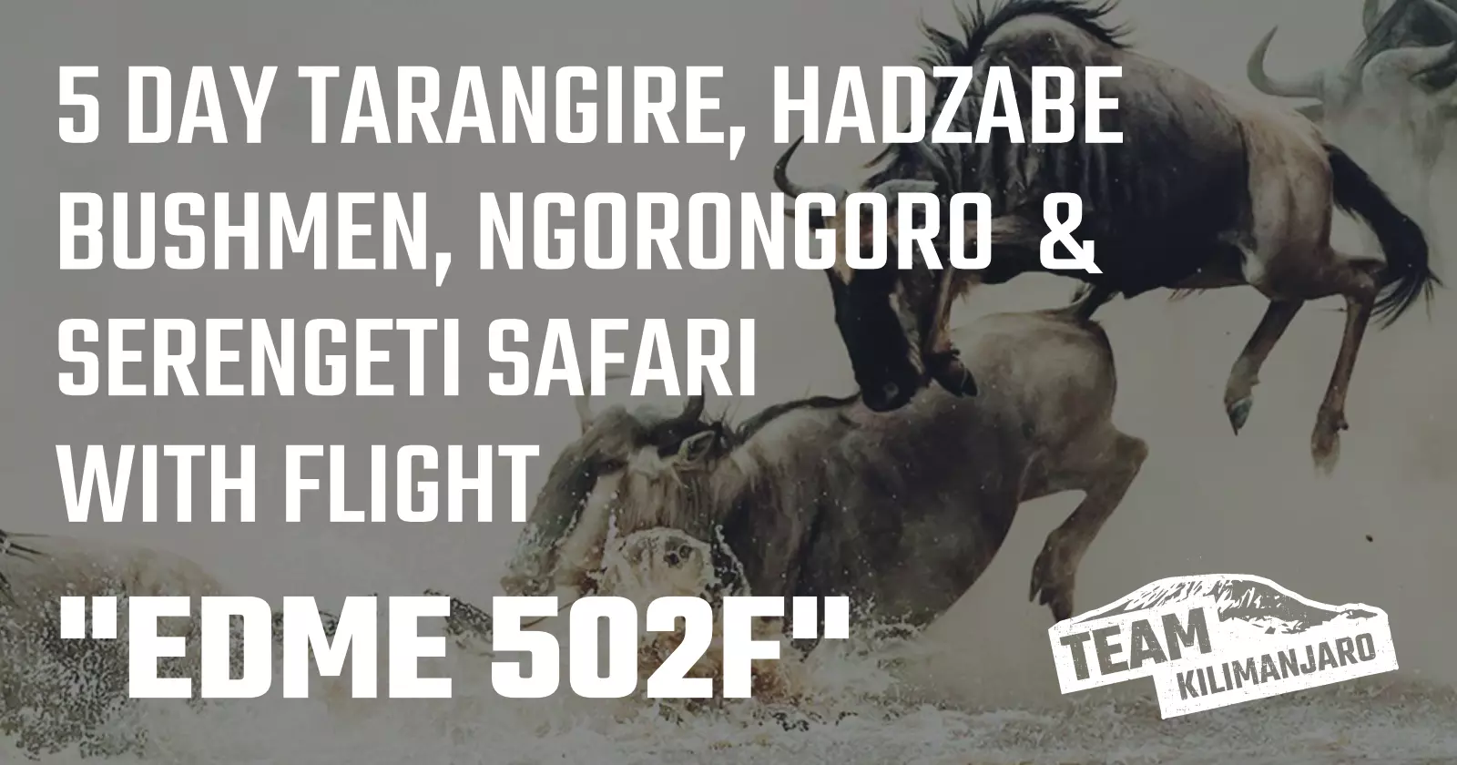 Tanzania Safari EDME 502F