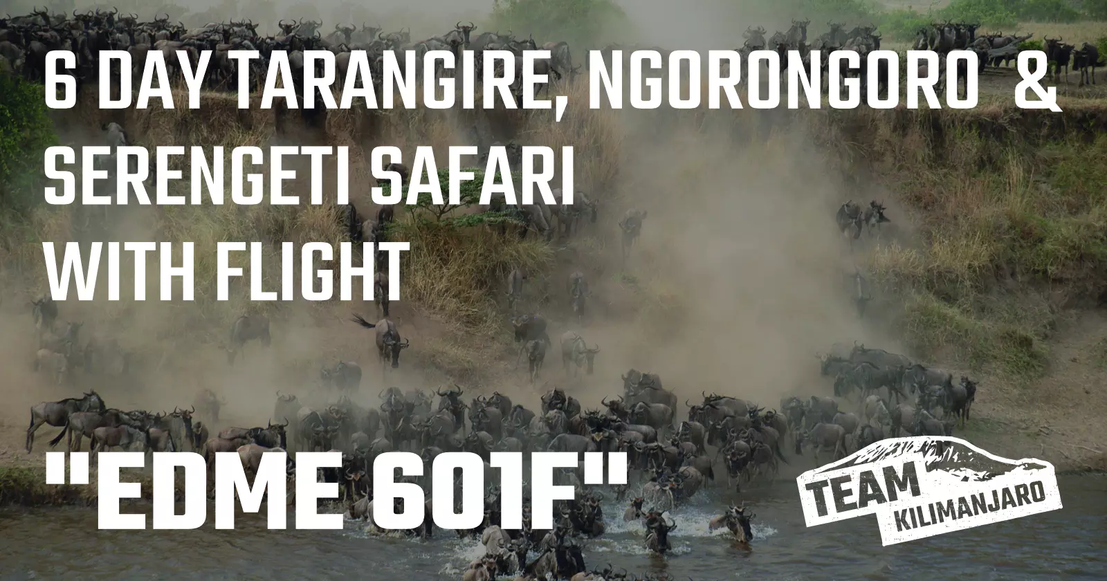 Tanzania Safari EDME 601F