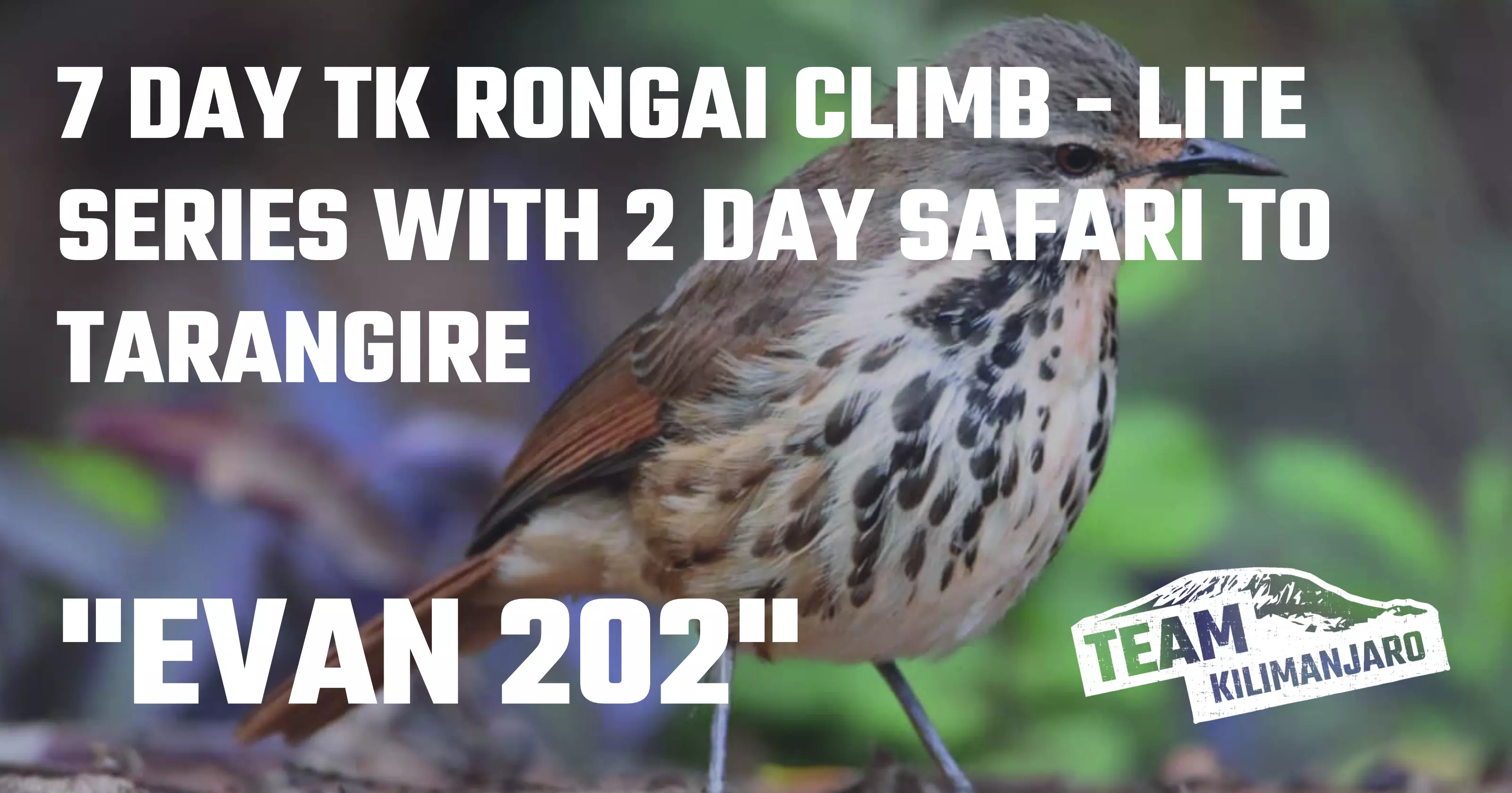 EVAN 202