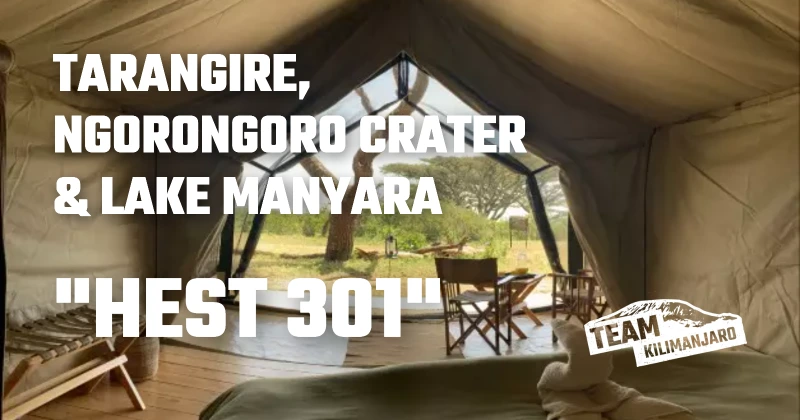 8 Day TK Lemosho Climb With 3 Day Safari to Tarangire, Ngorongoro Crater & Lake Manyara
