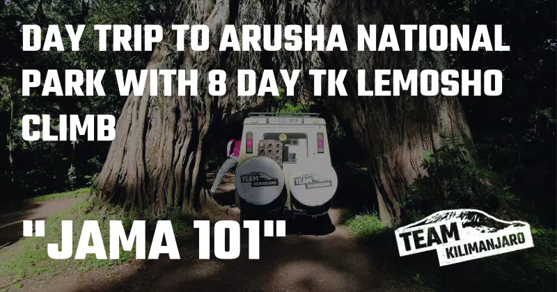 JAMA 101