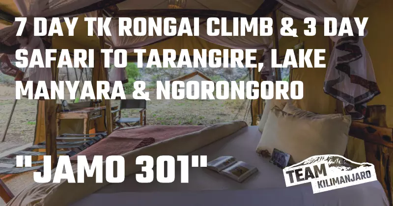 jamo 301