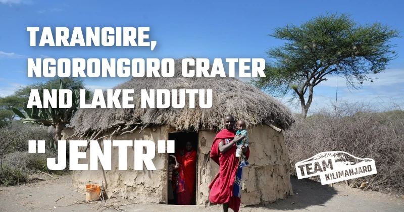 7 Day TK Lemosho Climb with a 4 Day Safari to Tarangire, Ngorongoro Crater and Lake Ndutu