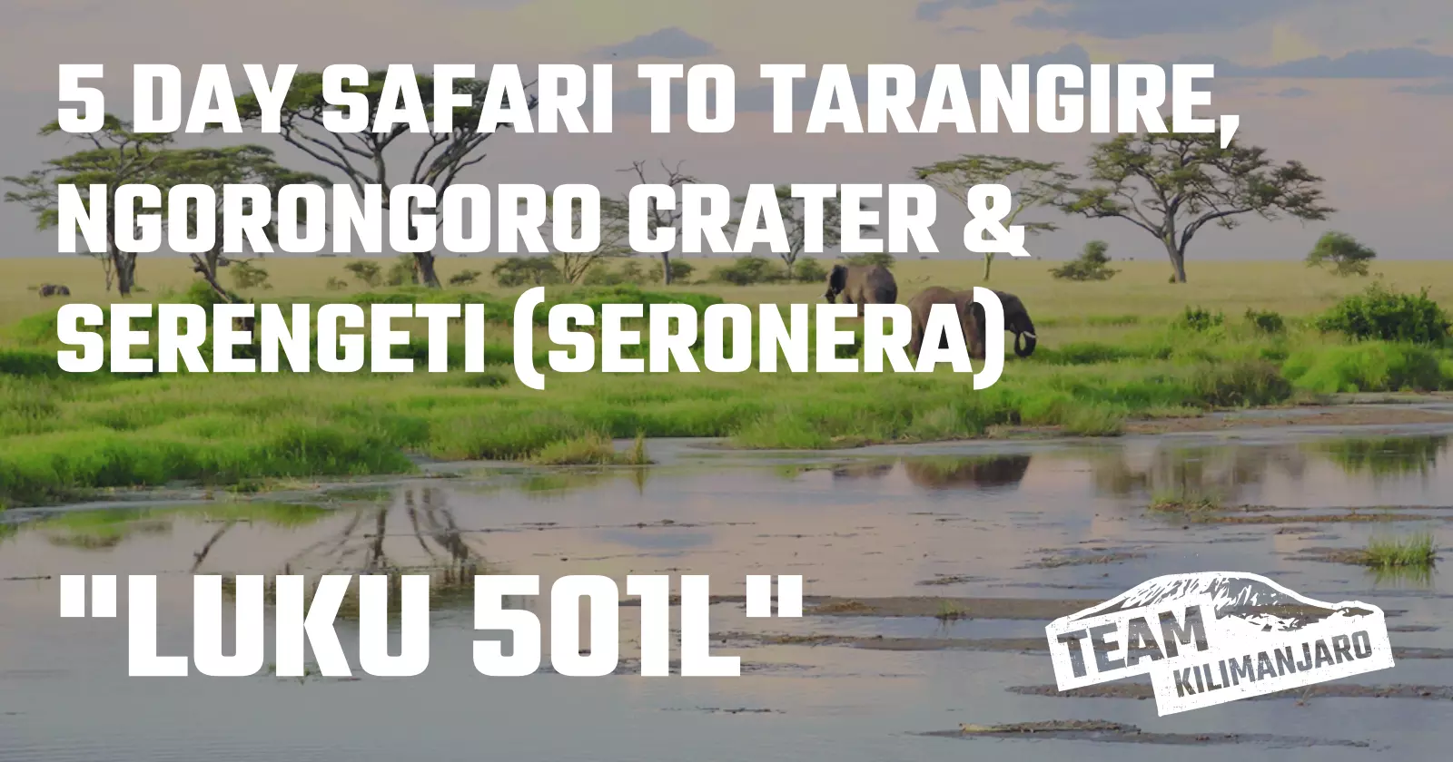 Tanzania Safari LUKU 501L