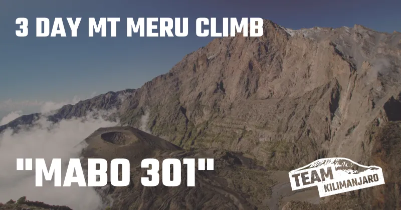 MABO 301