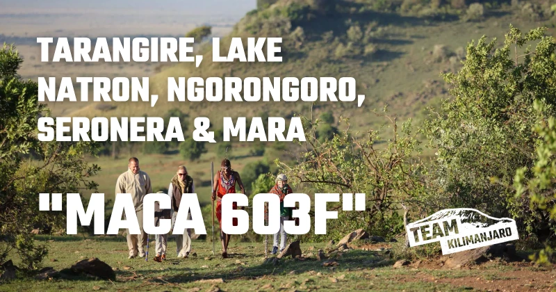 Tarangire, Lake Natron, Ngorongoro, Seronera & Mara with Flight