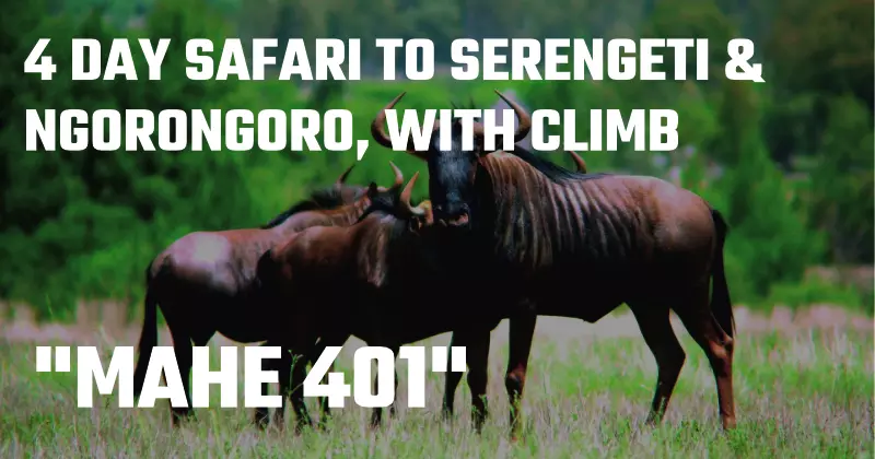 Mount Meru Ascent