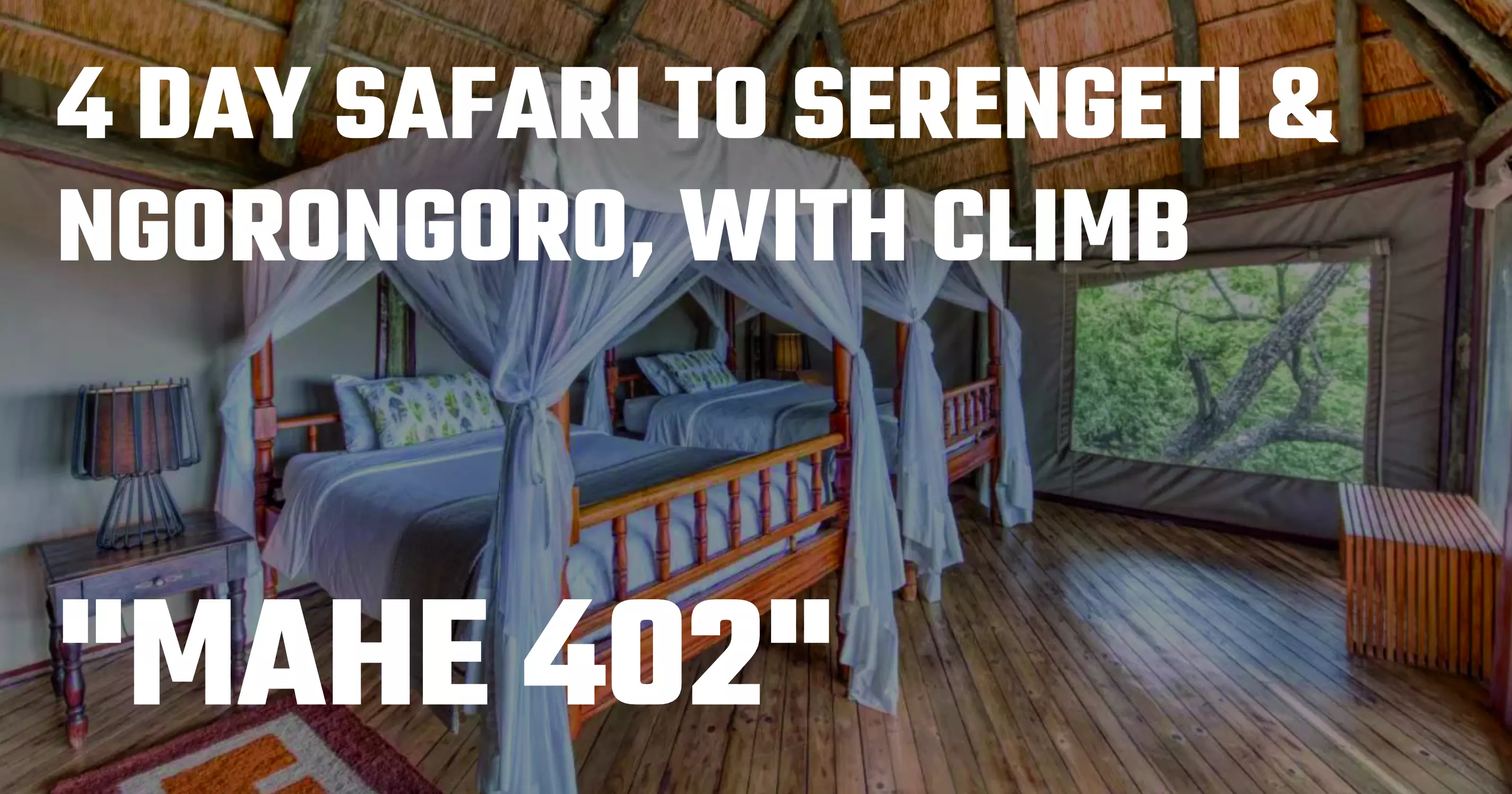 Mount Meru Ascent