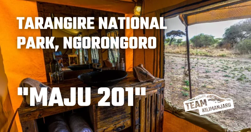 2 Day Safari to Tarangire National Park, Ngorongoro