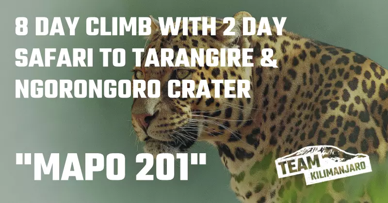 MAPO 202