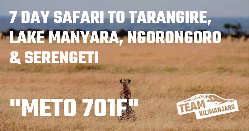 METO 701F Safari