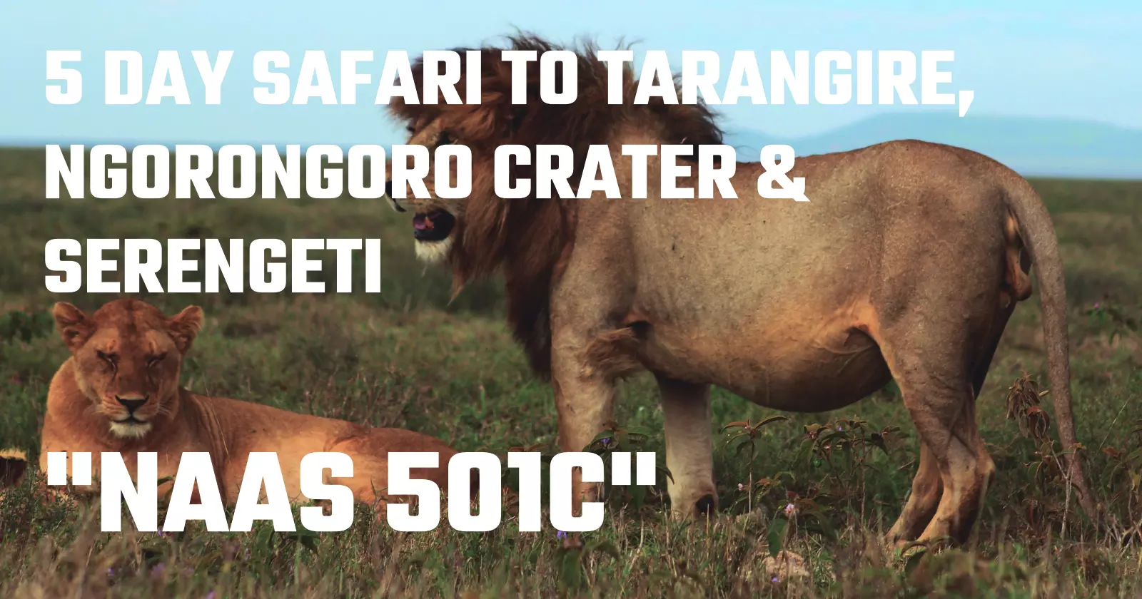 Tanzania Safari NAAS 501C