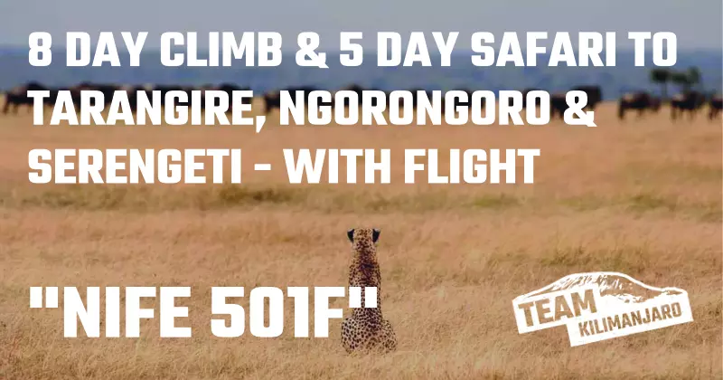 NIJE 501F