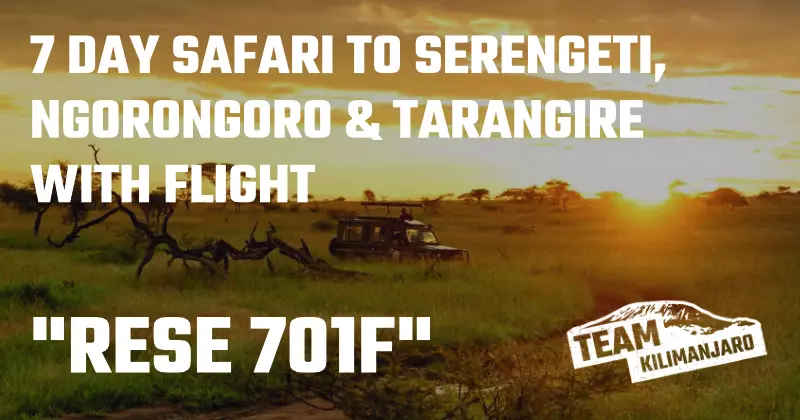 RESE 701F Climb, Safari and Zanzibar