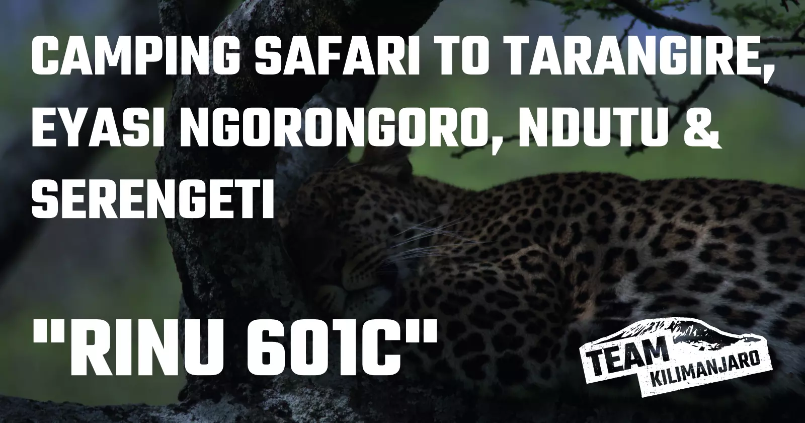 Tanzania Camping Safari RINU 601C