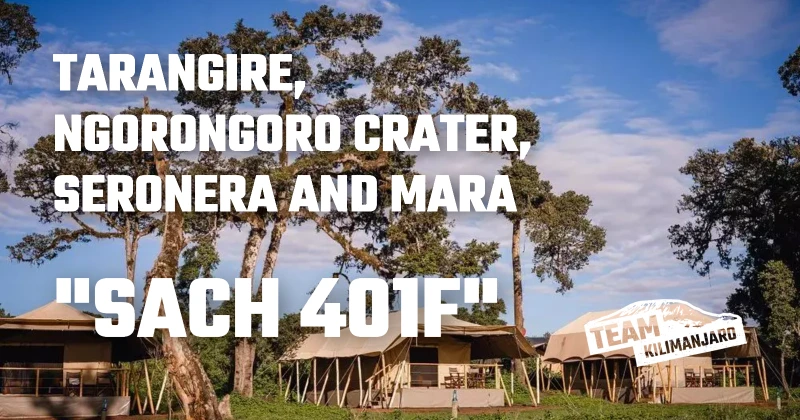 Tarangire, Ngorongoro Crater, Seronera and Mara - with Flight
