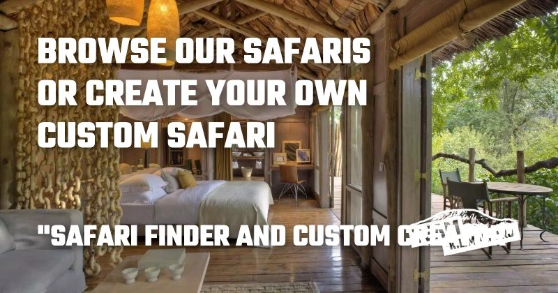 Browse Our Safaris or Create Your Own Custom Safari