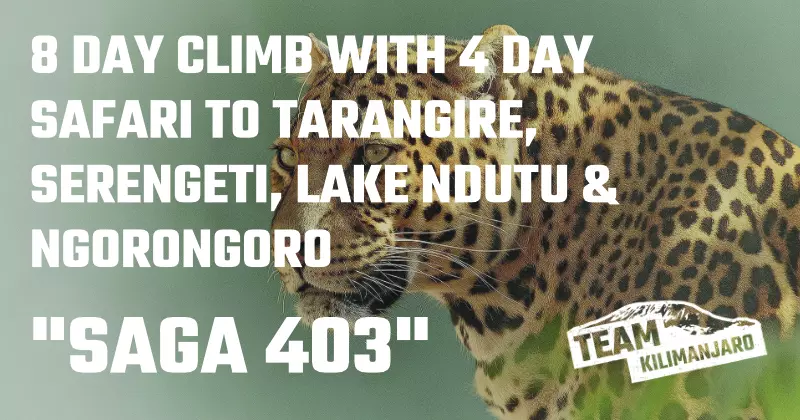 SAGA 403