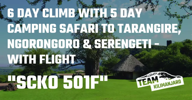 SERG 501F
