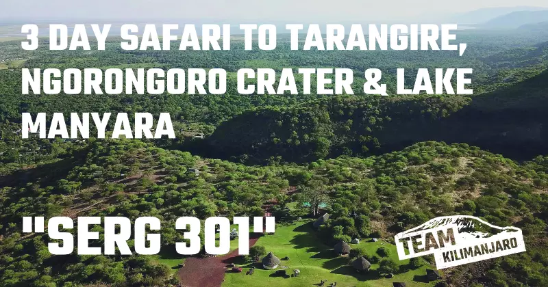 SERG 301