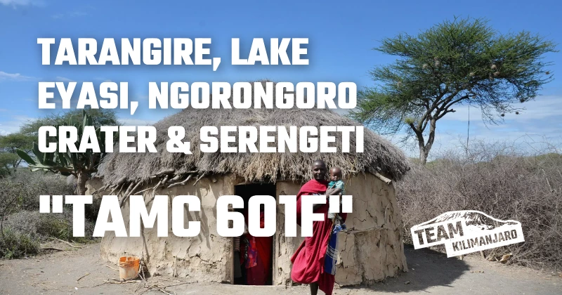 6 Day Safari to Tarangire, Lake Eyasi, Ngorongoro Crater & Serengeti - With Flight