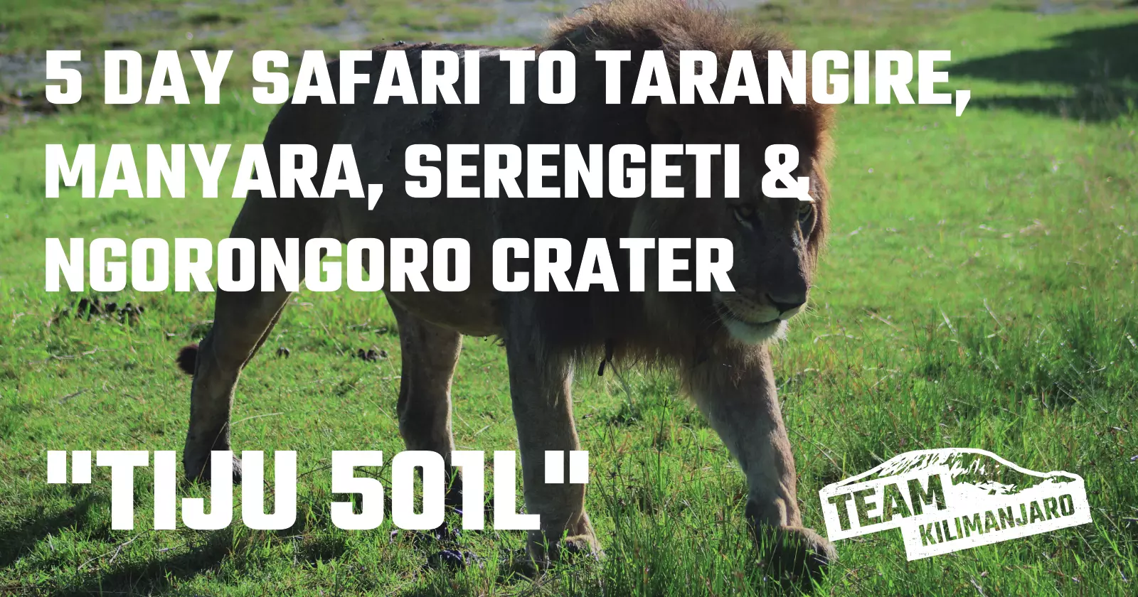 Tanzania Safari TIJU 501L