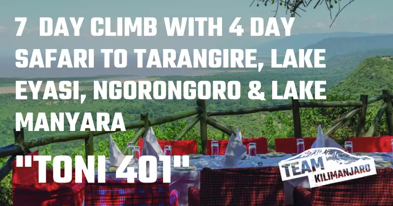 TONI 401