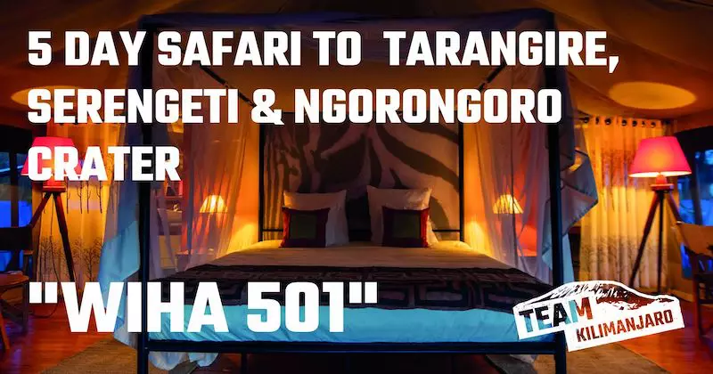 WIHA 501