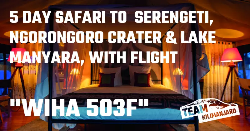 WIHA 503f